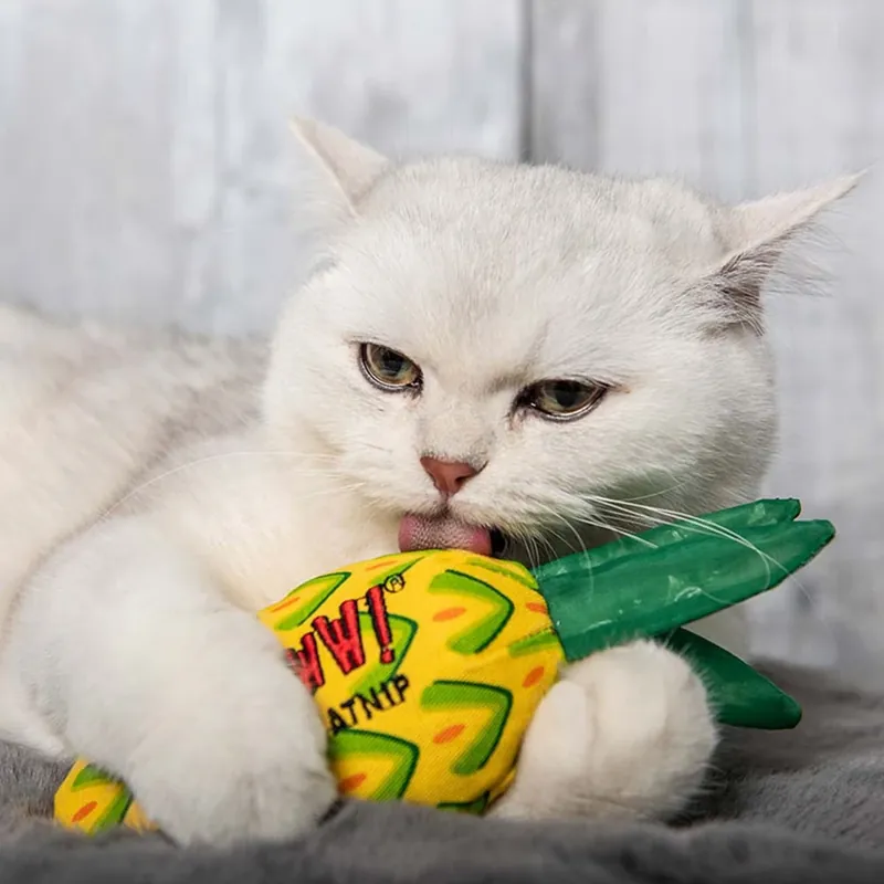 Kundfavorit Yeowww! Catnip Ananas Roligt Kattleksak